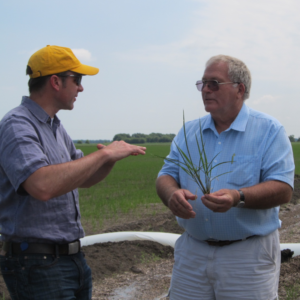 Global Leader in Sustainable Rice Production Drives Progress in Arkansas