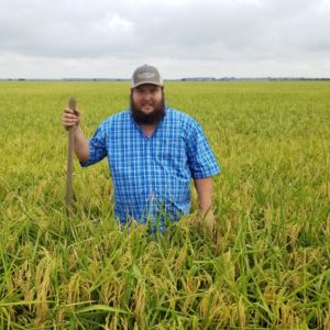 The Oldest Rice Farm in Arkansas Looks to the Future